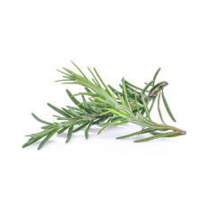 Rosemary Oil