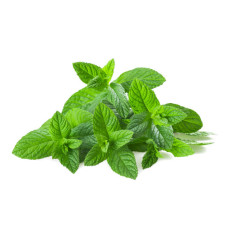 Spearmint Oil